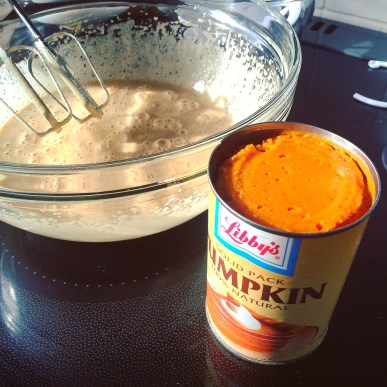 Pumpkin mix